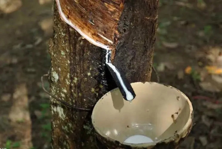 乳膠消泡（pào）劑應用